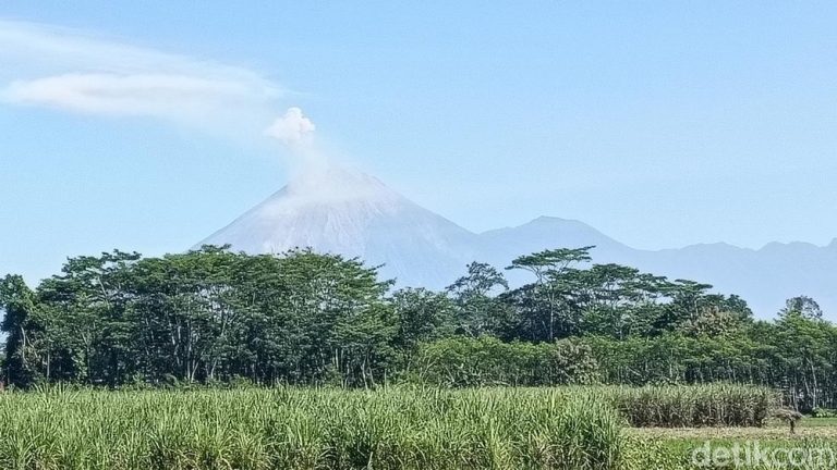 Semeru Menggila Lava Pijar Meluncur Saat Hutan Membara