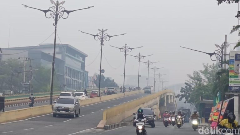 Riau Tercekik Asap Belasan Ribu Terkena