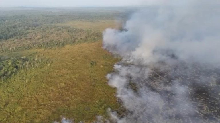 Way Kambas Membara Lagi Petugas Berpacu Waktu Way Kambas Membara Lagi Petugas Berpacu Waktu