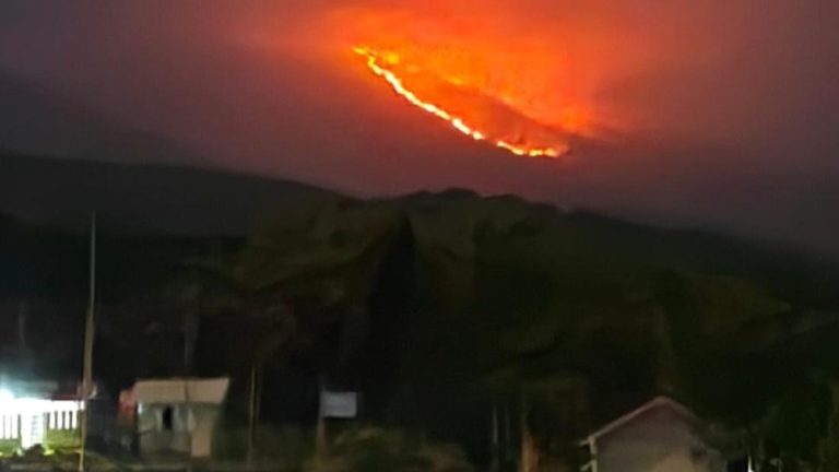 Rinjani Membara Luas Lahan Tembus 1000 Hektare