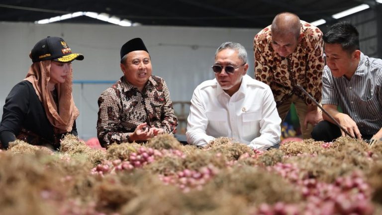 Bawang Merah Indonesia Kuasai Pasar Global Ini Rahasianya