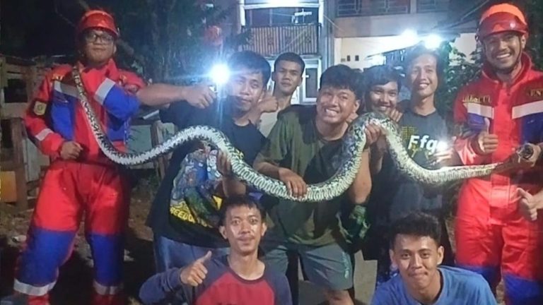 Bogor Geger Tamu Tak Diundang Dini Hari Bogor Geger Tamu Tak Diundang Dini Hari