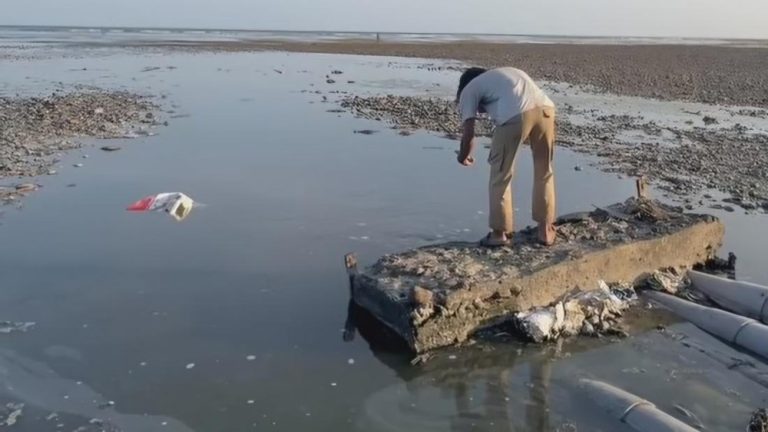 Limbah Tambak Udang Cemari Laut Sumbawa